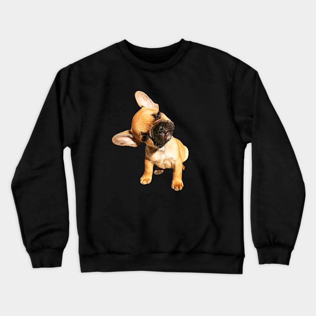 French Bulldog Cute Head Tilt Crewneck Sweatshirt by ElegantCat